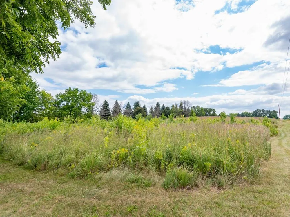4165 LeSueur Avenue New Prague, MN 56071