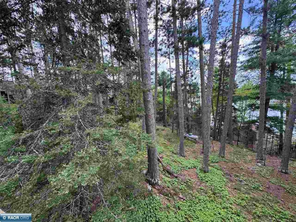 3069 Black Bay Road Cook, MN 55723
