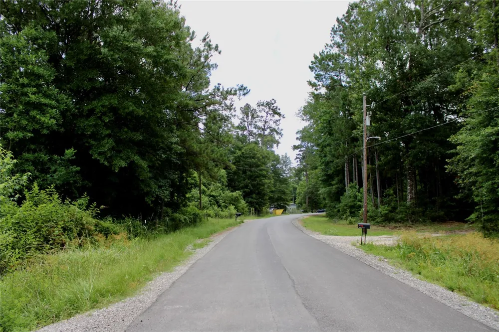 12425 Picos Road Saratoga, TX 77585