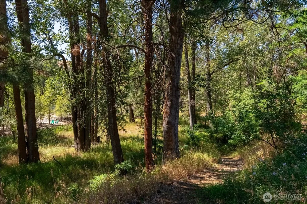 101 Evans Winthrop, WA 98862