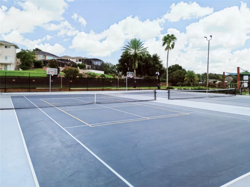 17313 CHATEAU PINE WAY Clermont, FL 34711