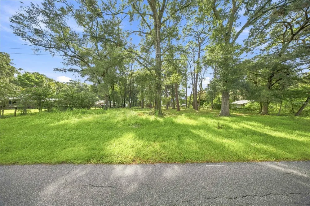 TBD NE 14TH AVE ocala, FL 34470