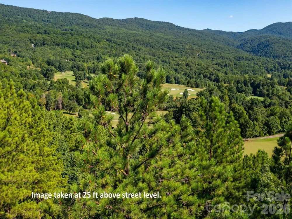 2026 Deep Gap Farm Road E Mill Spring, NC 28756
