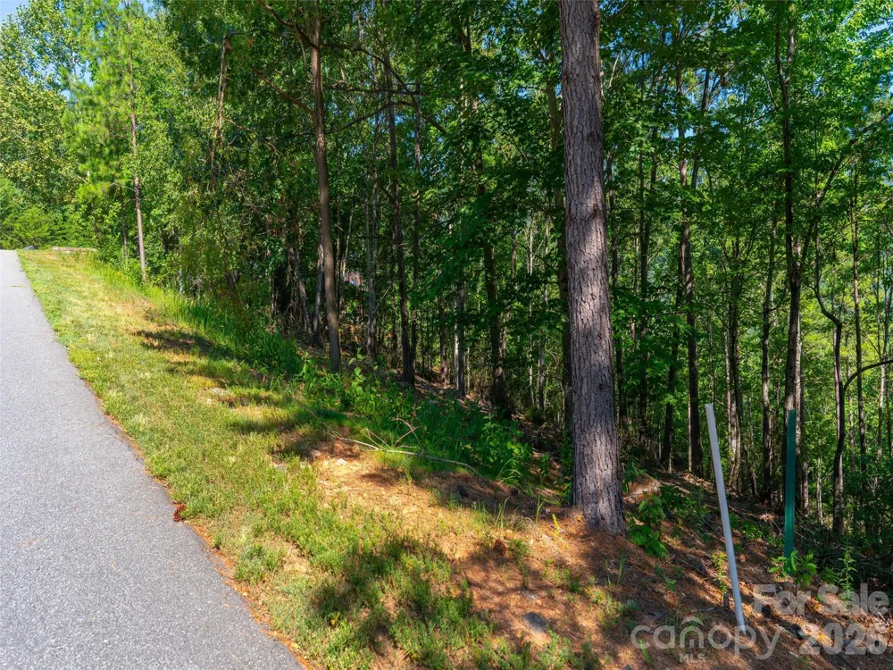 2026 Deep Gap Farm Road E Mill Spring, NC 28756