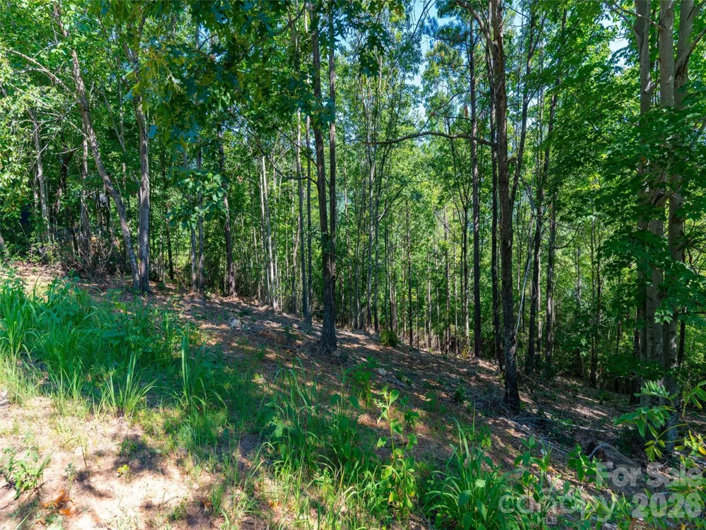 2026 Deep Gap Farm Road E Mill Spring, NC 28756