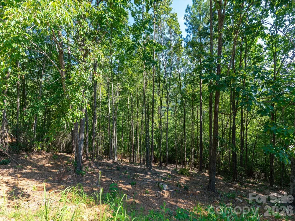 2026 Deep Gap Farm Road E Mill Spring, NC 28756