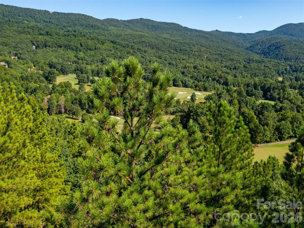 2026 Deep Gap Farm Road E Mill Spring, NC 28756