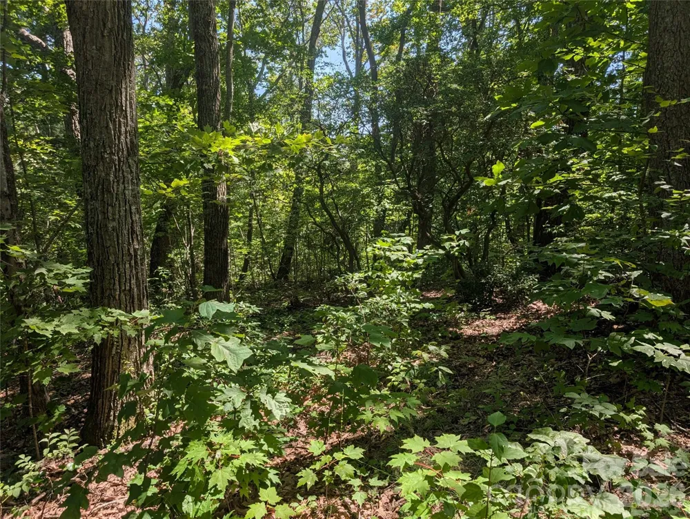 1824 Old Mill Road Hendersonville, NC 28792