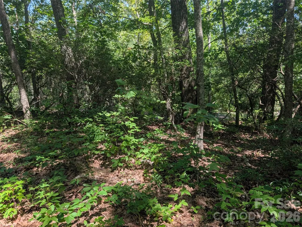 1824 Old Mill Road Hendersonville, NC 28792
