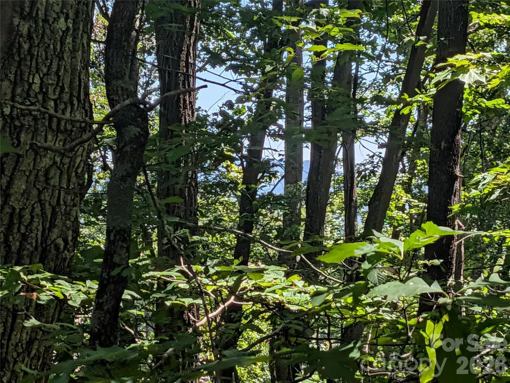 1824 Old Mill Road Hendersonville, NC 28792