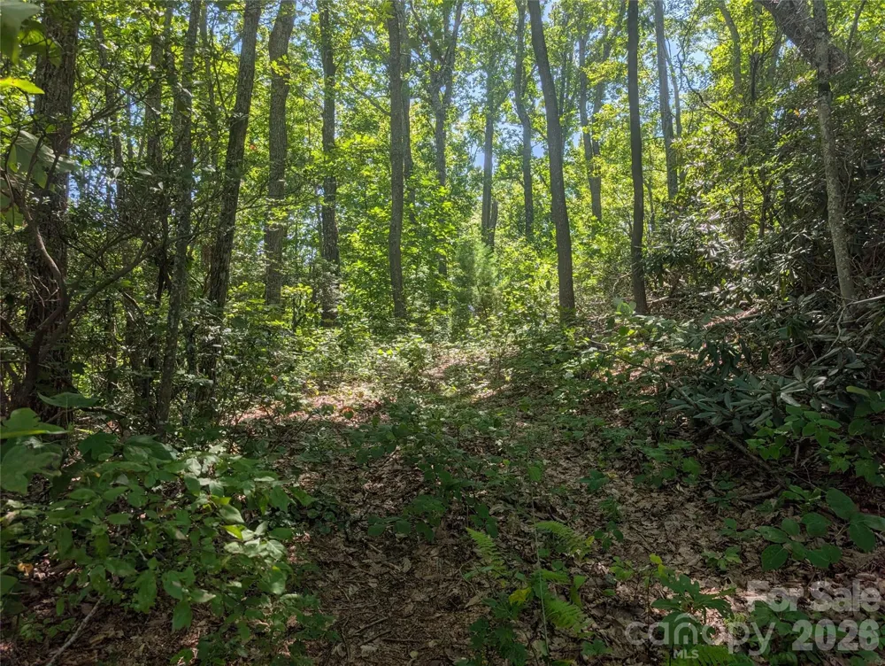 1824 Old Mill Road Hendersonville, NC 28792