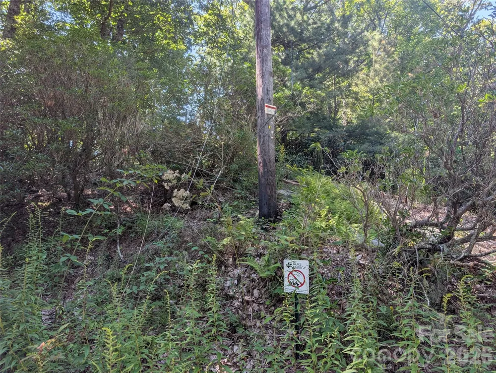 1824 Old Mill Road Hendersonville, NC 28792