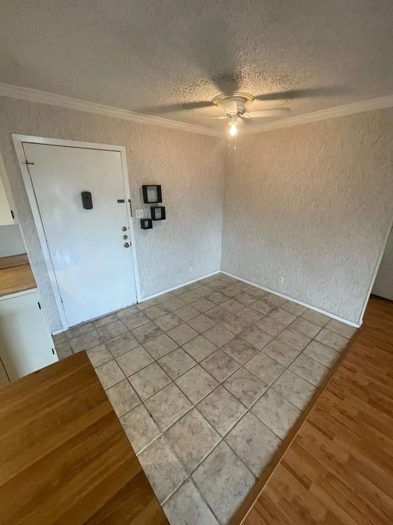 910 Duncan Lane #44 Austin, TX 78705