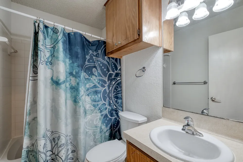 11116 Wandering Way Austin, TX 78754