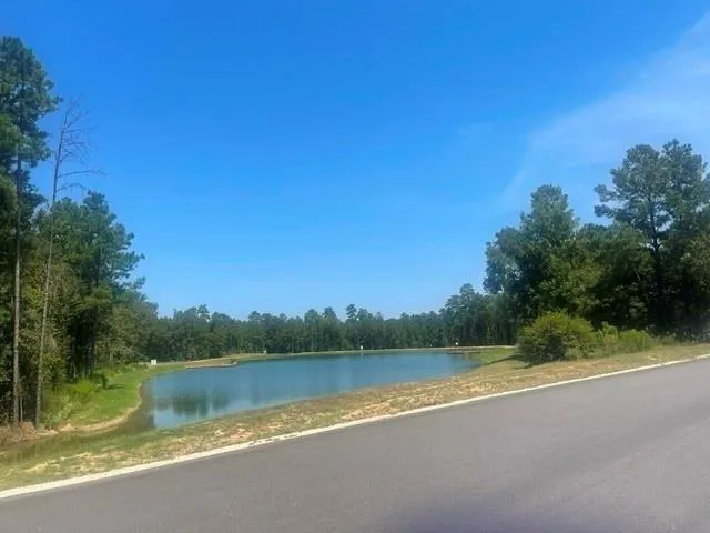 101 Longfellow Road New Waverly, TX 77358