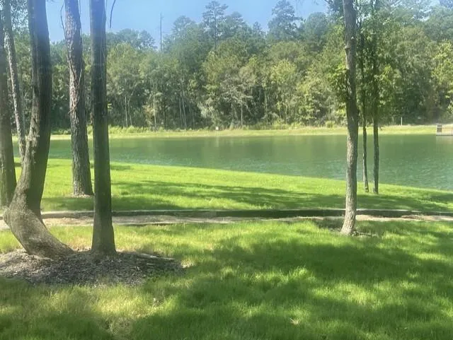 101 Longfellow Road New Waverly, TX 77358