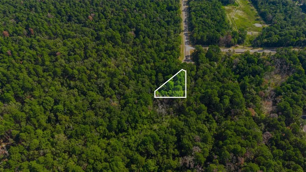 101 Longfellow Road New Waverly, TX 77358