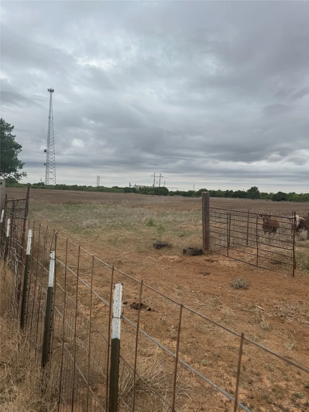 Florez Road Quanah, TX 79252
