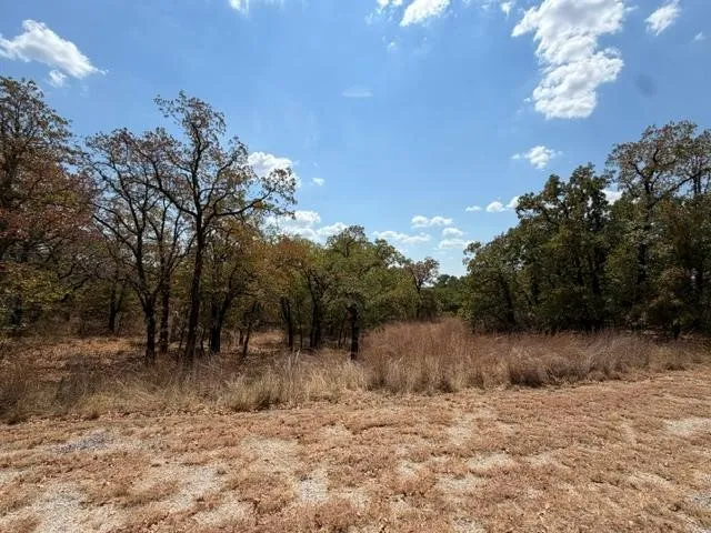 121 Blackhawk Street Nocona, TX 76255