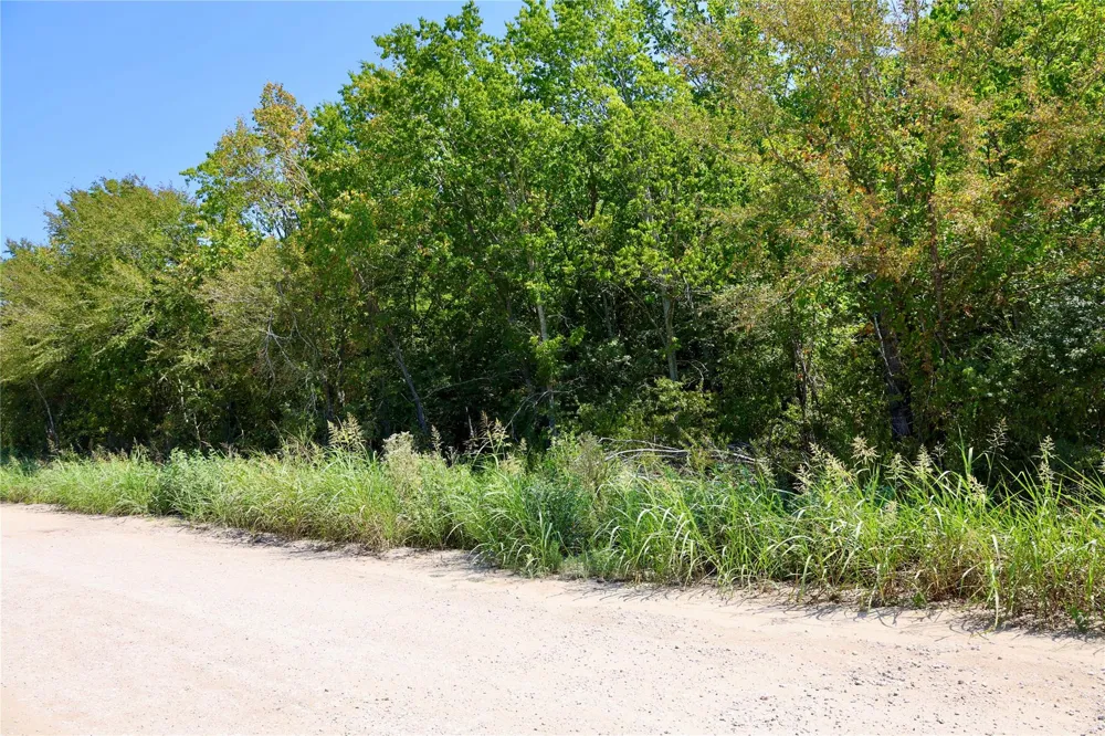 Izard Drive Navasota, TX 77868