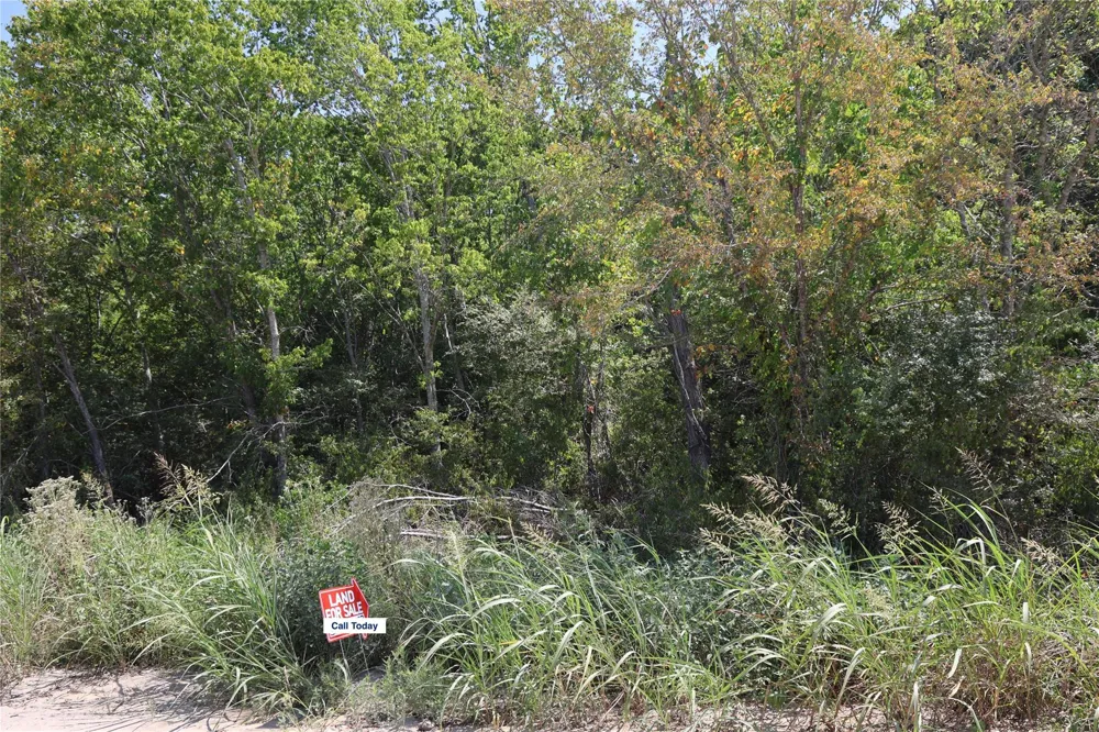 Izard Drive Navasota, TX 77868