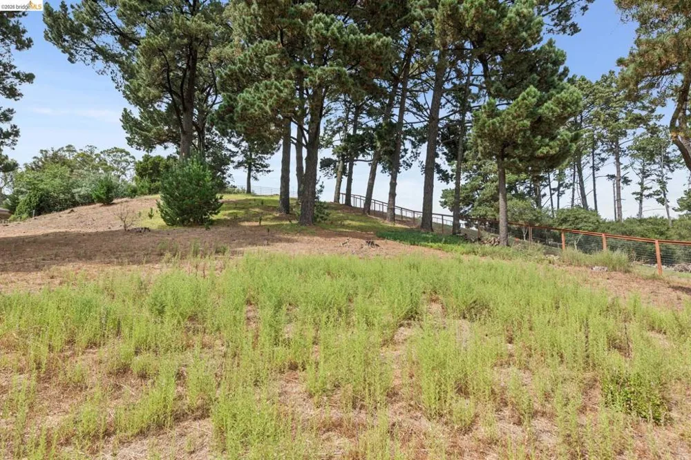 13474 Skyline Blvd Oakland, CA 94619
