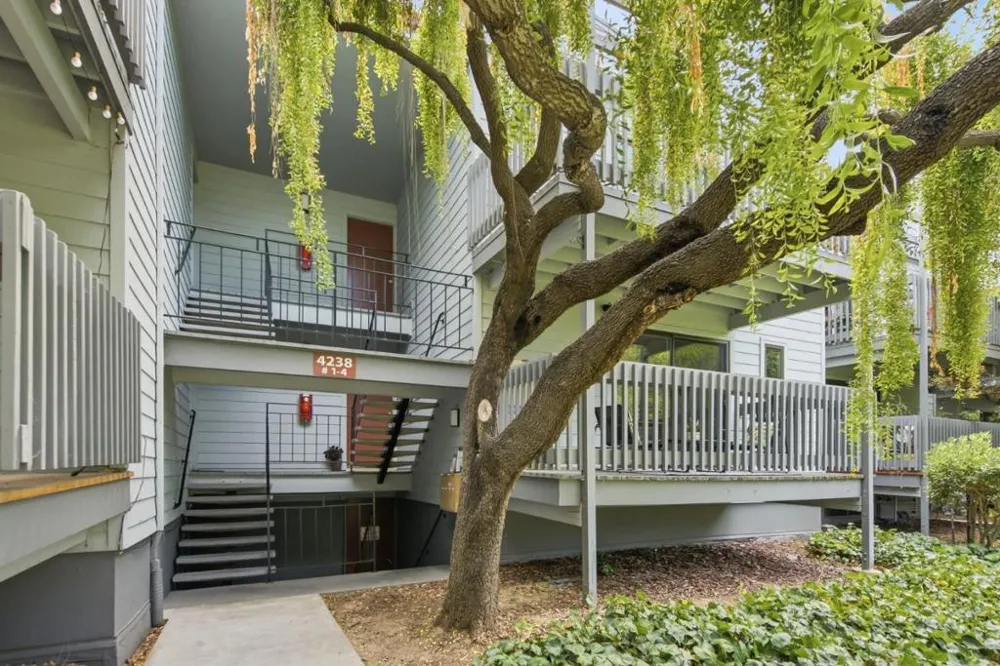 4238 George Avenue #1 San Mateo, CA 94403