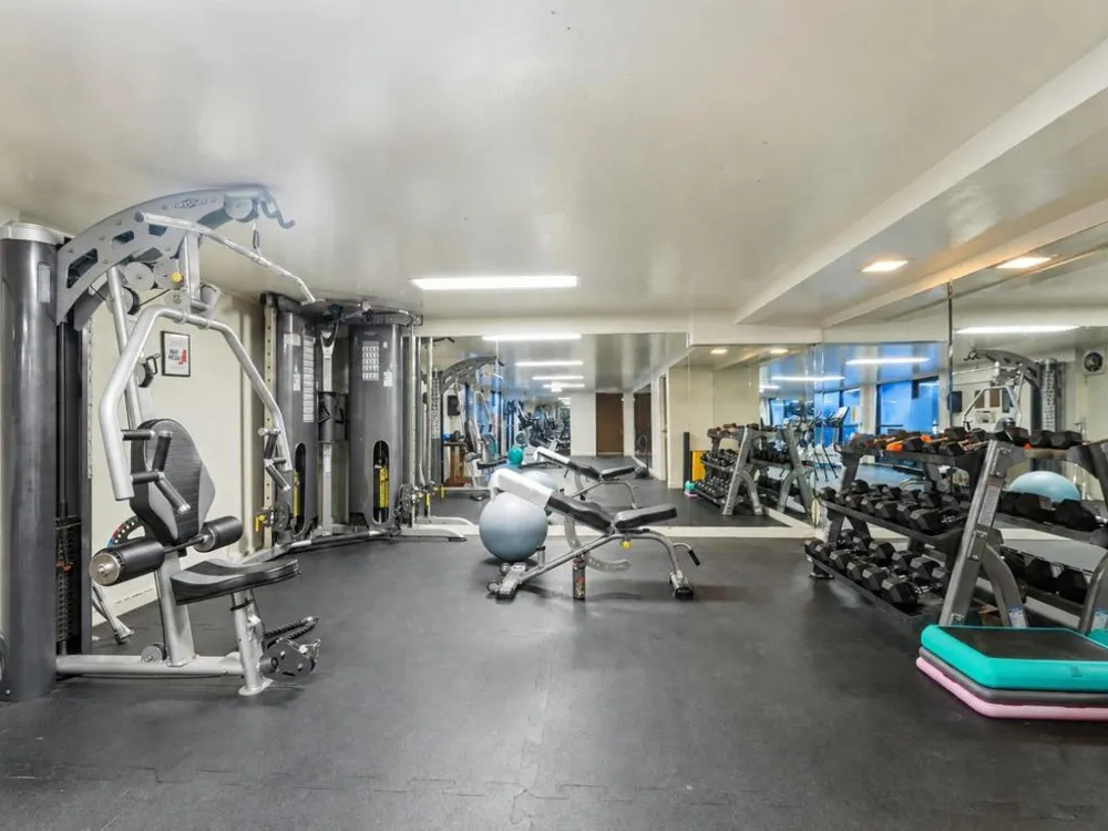 4238 George Avenue #1 San Mateo, CA 94403