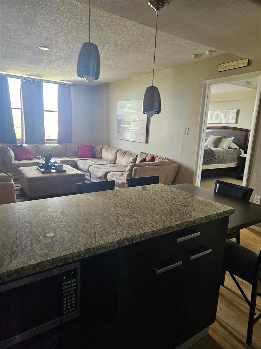 701 S MADISON AVENUE #515 Clearwater, FL 33756