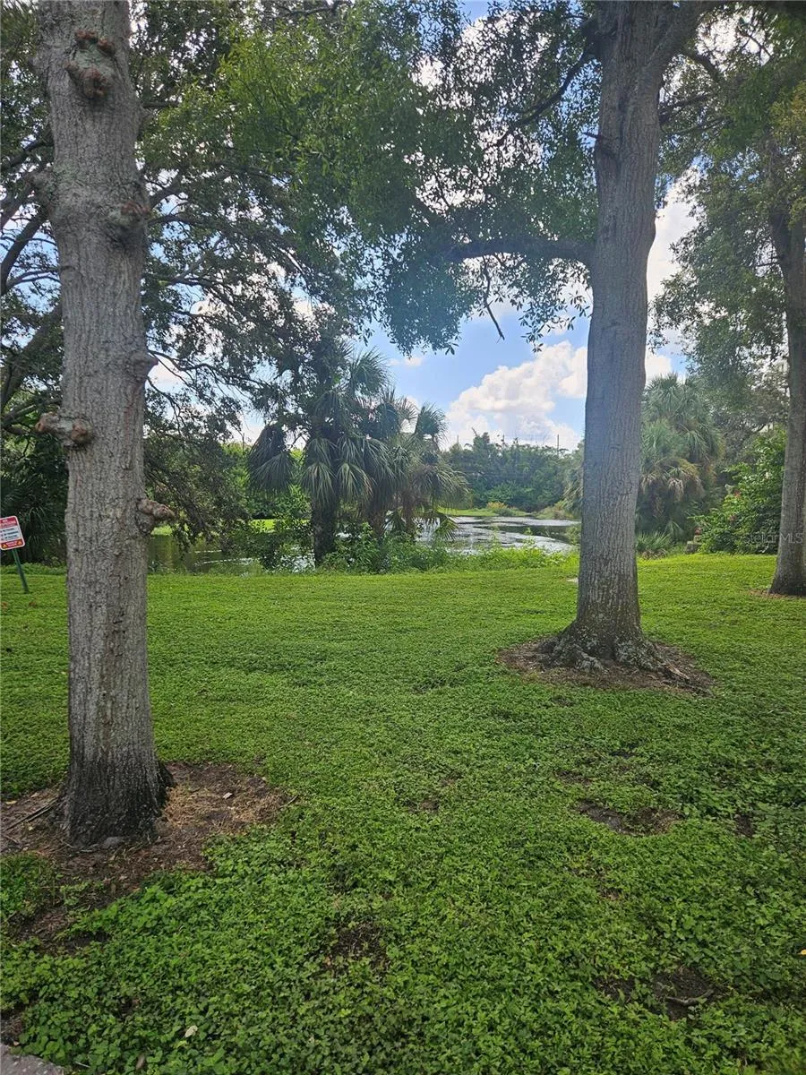 701 S MADISON AVENUE #515 Clearwater, FL 33756