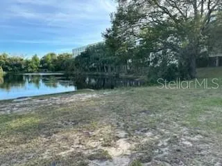 701 S MADISON AVENUE #515 Clearwater, FL 33756