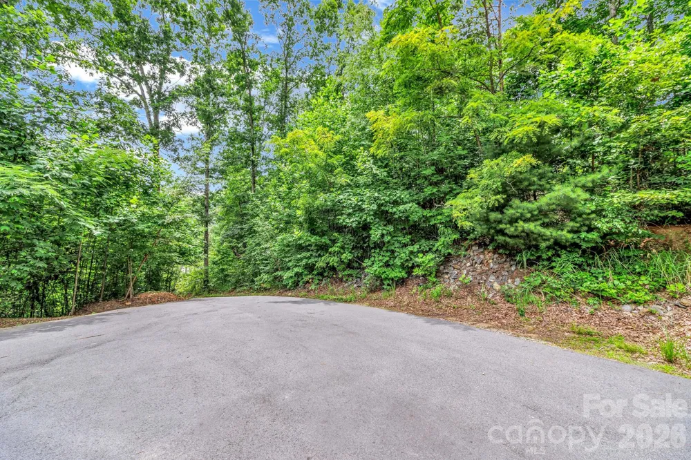 30 Pinners Cove Road Asheville, NC 28803