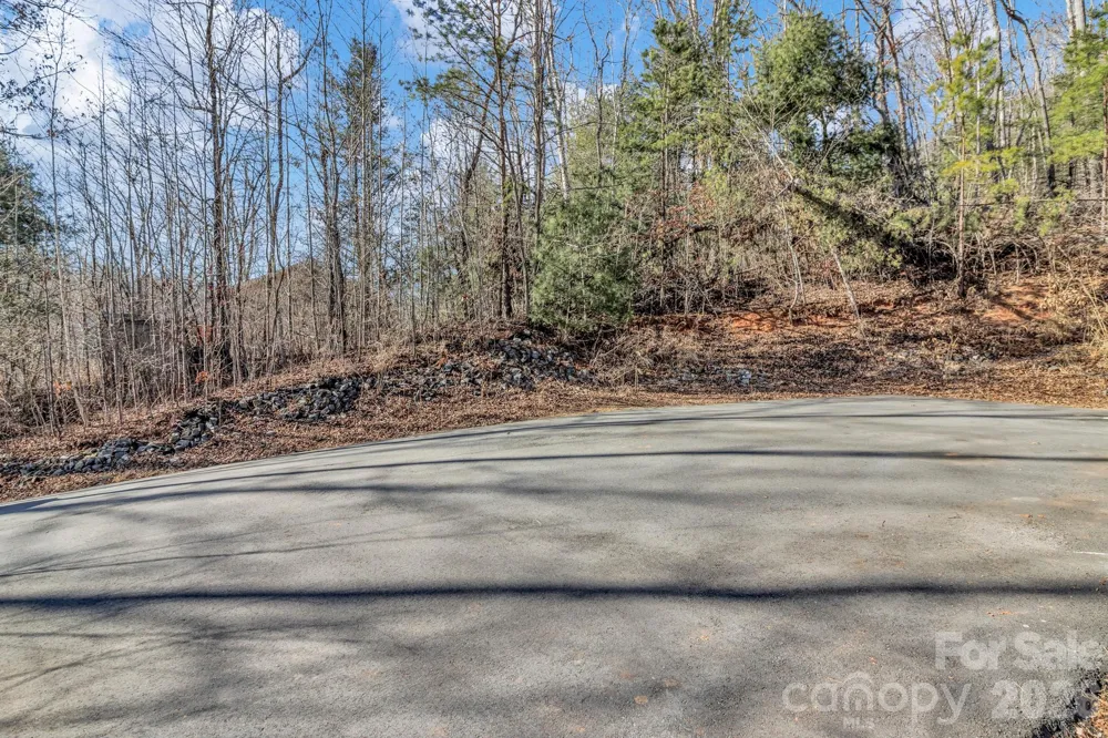 30 Pinners Cove Road Asheville, NC 28803