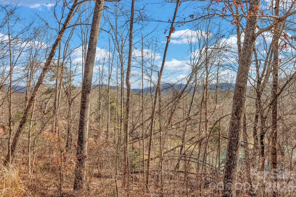 30 Pinners Cove Road Asheville, NC 28803