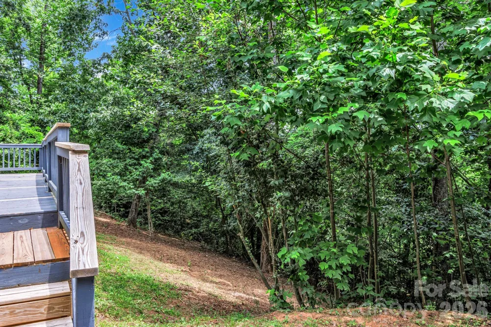 30 Pinners Cove Road Asheville, NC 28803