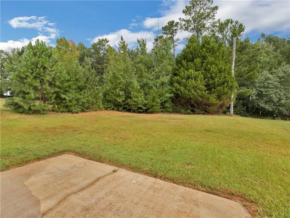 11704 Spring Lake Way Fayetteville, GA 30215