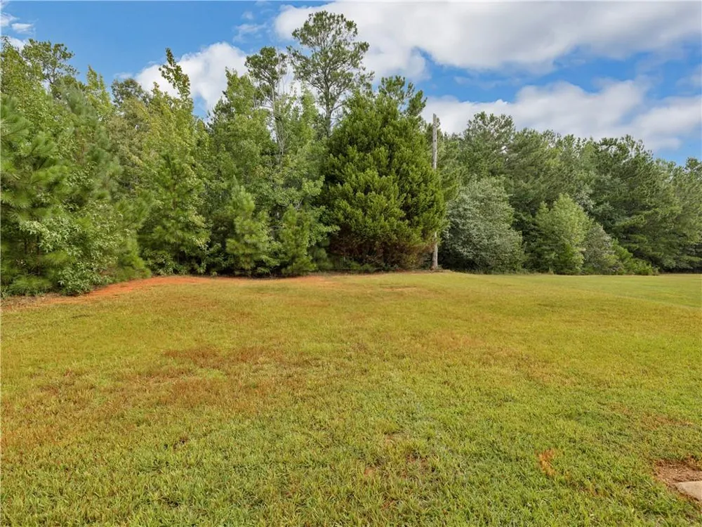 11704 Spring Lake Way Fayetteville, GA 30215