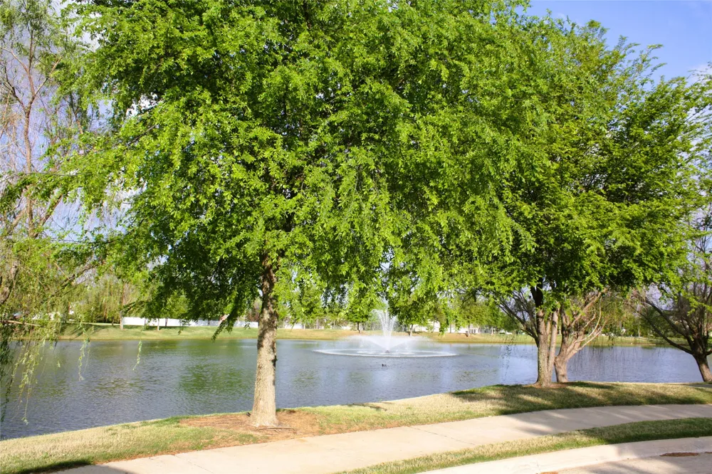 1713 Liberty Drive Providence Village, TX 76227