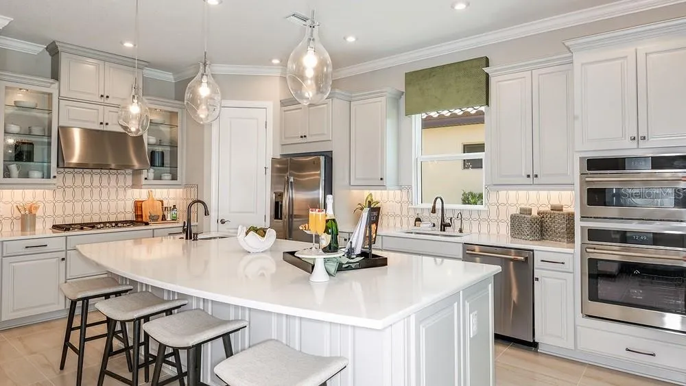 29668 IMPERATI BOULEVARD Wesley Chapel, FL 33543