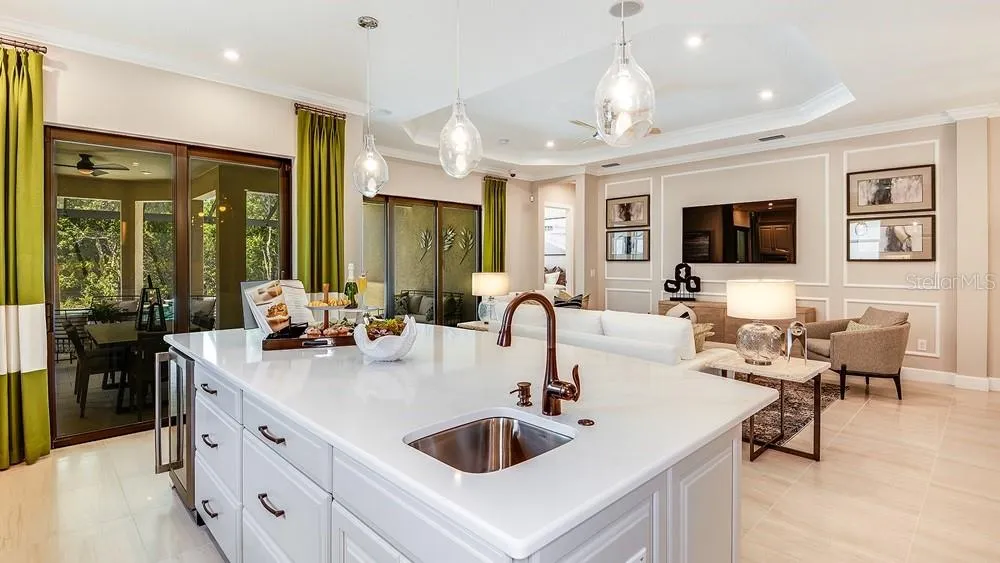 29668 IMPERATI BOULEVARD Wesley Chapel, FL 33543