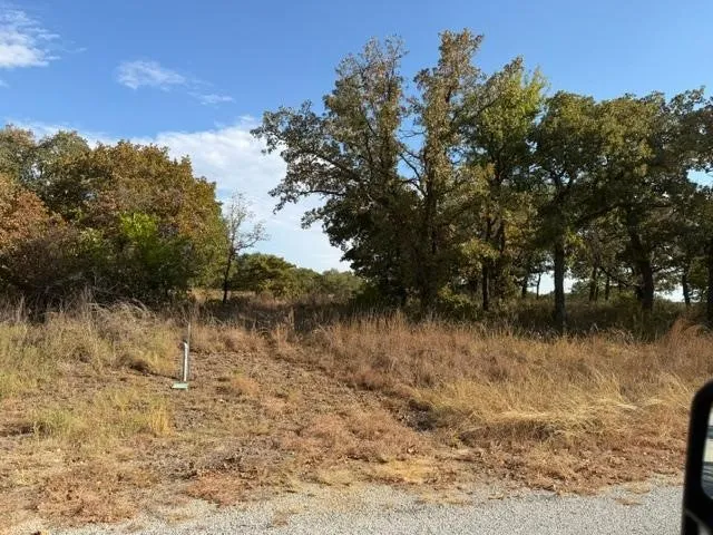 17 Crestline Court Nocona, TX 76255