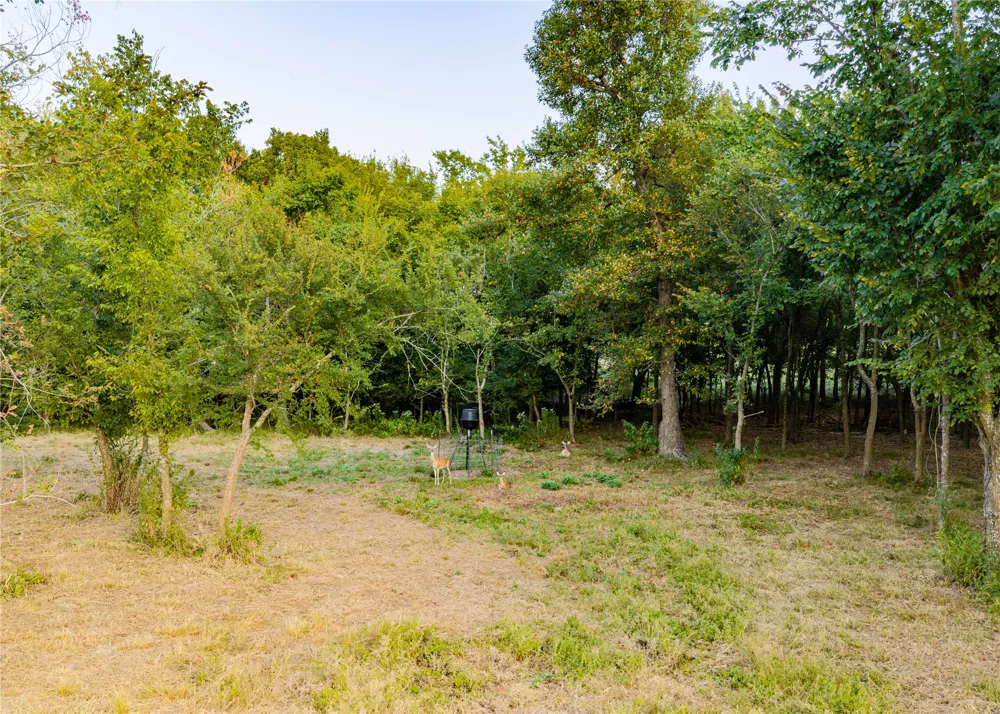 610 County Road 2300 Sulphur Springs, TX 75482