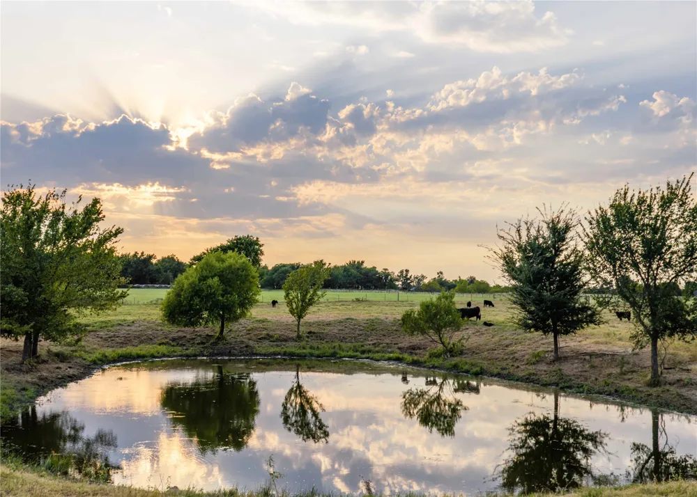 610 County Road 2300 Sulphur Springs, TX 75482