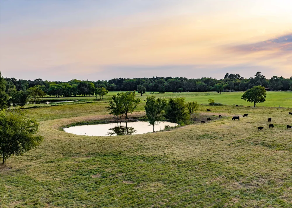 610 County Road 2300 Sulphur Springs, TX 75482