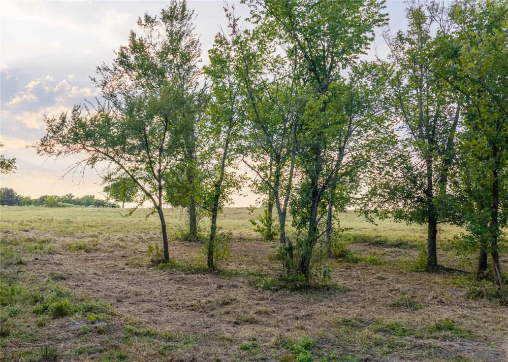 610 County Road 2300 Sulphur Springs, TX 75482