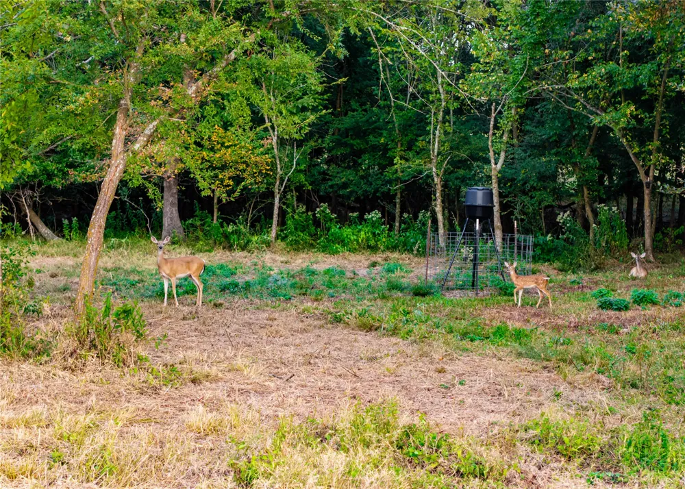 610 County Road 2300 Sulphur Springs, TX 75482