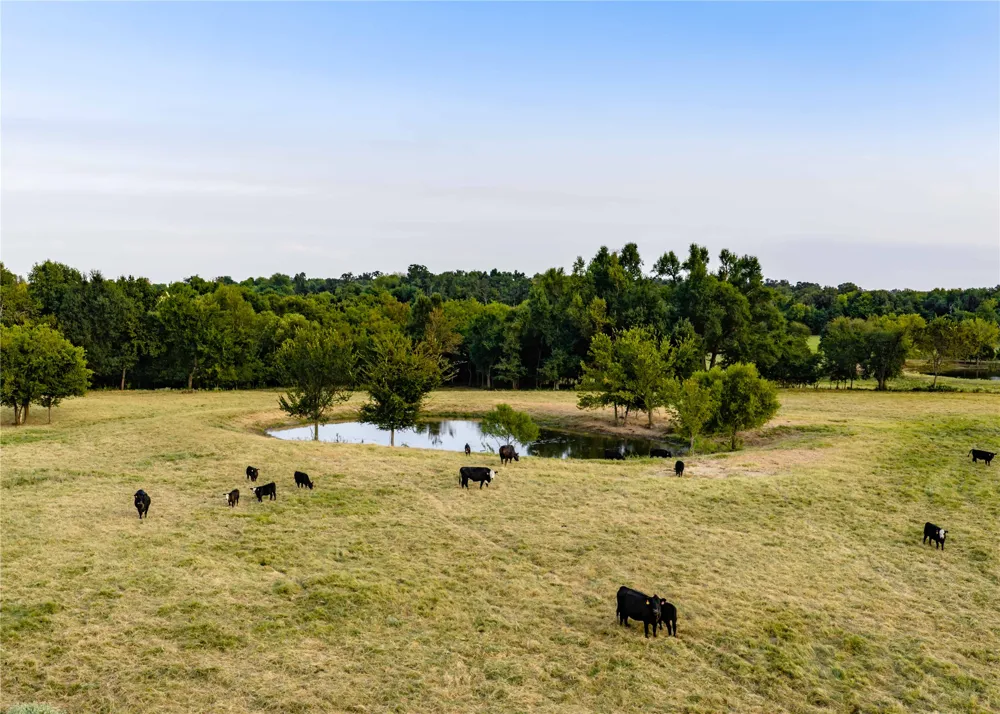 610 County Road 2300 Sulphur Springs, TX 75482