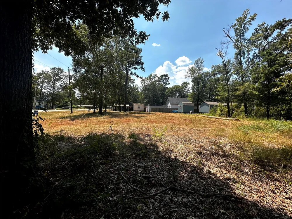170 Tobago Lane Point Blank, TX 77364