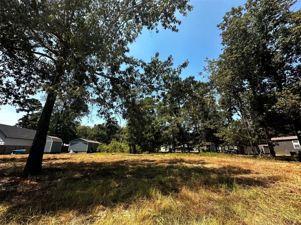 170 Tobago Lane Point Blank, TX 77364