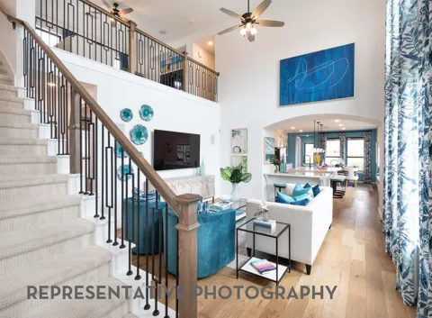 11215 Peacock Flower Street